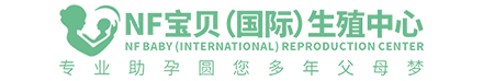 拾柴网